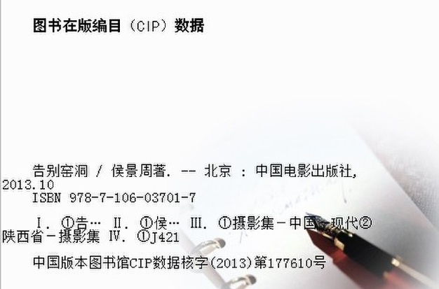 cip數(shù)據(jù)